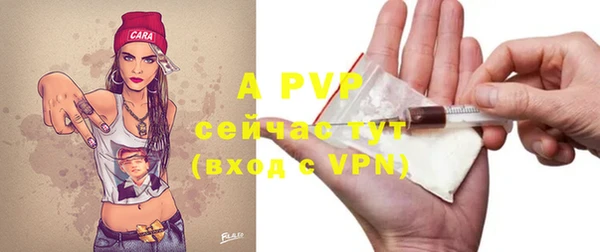 ГАЛЛЮЦИНОГЕННЫЕ ГРИБЫ Беломорск