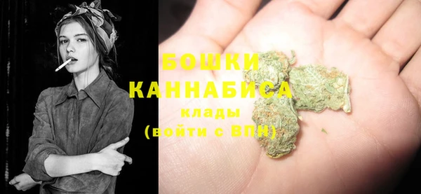 ALPHA PVP Белокуриха