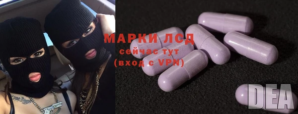 ГАЛЛЮЦИНОГЕННЫЕ ГРИБЫ Беломорск
