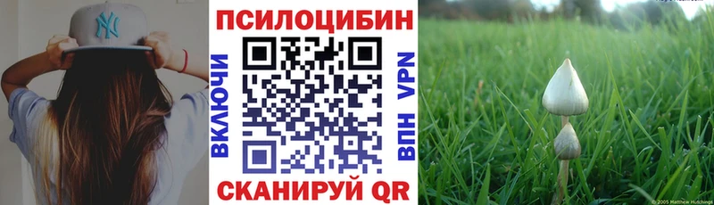 Псилоцибиновые грибы GOLDEN TEACHER  купить   Высоцк 